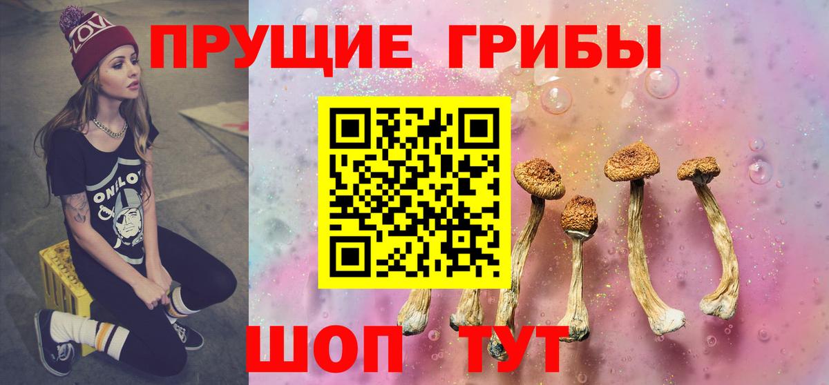 Георгиевск  Галлюциногенные грибы Magic Shrooms  Вход с VPN 